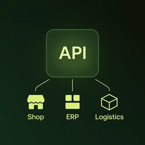 API- & Systemintegrationen